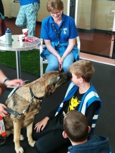 Guide Dogs 1